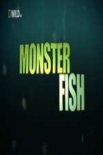 Watch National Geographic Monster Fish Freemovieswatch