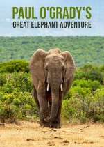 Watch Paul O'Grady's Great Elephant Adventure Freemovieswatch