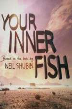 Watch Your Inner Fish Freemovieswatch