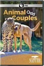 Watch Animal Odd Couples Freemovieswatch