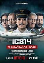 Watch IC 814: The Kandahar Hijack Freemovieswatch
