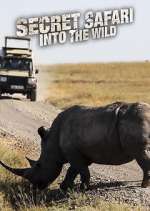 Watch Secret Safari: Into the Wild Freemovieswatch