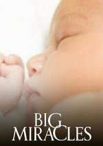 Watch Big Miracles Freemovieswatch