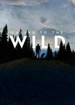 Watch Called to the Wild Freemovieswatch