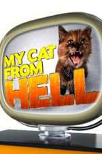 Watch My Cat from Hell Freemovieswatch