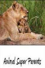 Watch Animal Super Parents Freemovieswatch