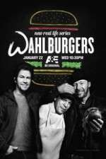 Watch Wahlburgers Freemovieswatch