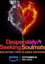 Watch Desperately Seeking Soulmate: Escaping Twin Flames Universe Freemovieswatch