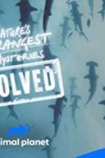 Watch Nature\'s Strangest Mysteries: Solved Freemovieswatch