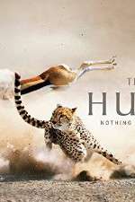 Watch The Hunt Freemovieswatch