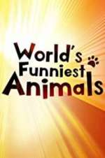 Watch The World\'s Funniest Animals Freemovieswatch