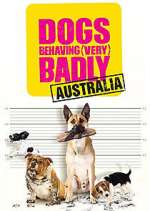 Watch Dogs Behaving (Very) Badly Australia Freemovieswatch