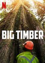Watch Big Timber Freemovieswatch