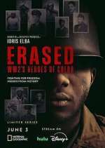 Watch Erased: WW2's Heroes of Color Freemovieswatch