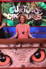 Watch Curious Creatures Freemovieswatch