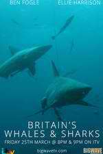 Watch Britain's Whales and Sharks Freemovieswatch