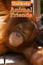 Watch Unlikely Animal Friends Freemovieswatch