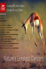 Watch Nature's Greatest Dancers Freemovieswatch