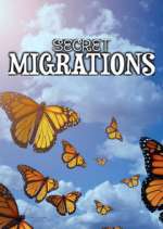 Watch Secret Migrations Freemovieswatch