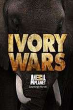 Watch Ivory Wars Freemovieswatch