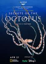 Watch Secrets of the Octopus Freemovieswatch