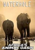 Watch Waterhole: Africa's Animal Oasis Freemovieswatch