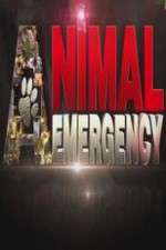 Watch Animal Emergency Freemovieswatch