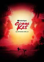 Watch Cobra Kai Freemovieswatch