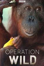 Watch Operation Wild Freemovieswatch