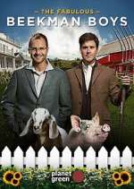 Watch The Fabulous Beekman Boys Freemovieswatch