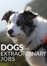 Watch Dogs with Extraordinary Jobs Freemovieswatch