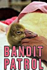 Watch Bandit Patrol Freemovieswatch