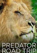 Watch Predator Road Trip Freemovieswatch