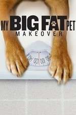 Watch My Big Fat Pet Makeover Freemovieswatch