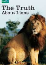 Watch The Truth About Lions Freemovieswatch