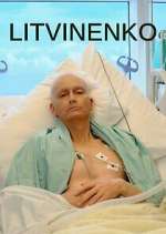 Watch Litvinenko Freemovieswatch