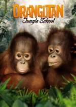 Watch Orangutan Jungle School Freemovieswatch