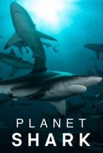 Watch Planet Shark Freemovieswatch