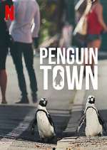 Watch Penguin Town Freemovieswatch