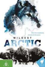 Watch Wildest Arctic Freemovieswatch