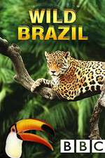 Watch Wild Brazil Freemovieswatch