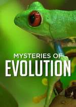 Watch Mysteries of Evolution Freemovieswatch