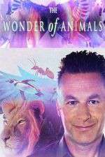 Watch The Wonder of Animals Freemovieswatch
