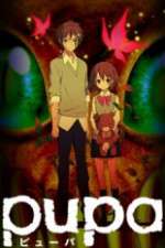 Watch Pupa Freemovieswatch