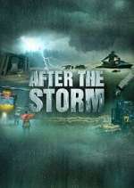 Watch After the Storm Freemovieswatch