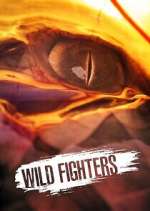 Watch Wild Fighters Freemovieswatch