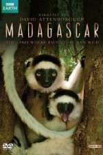 Watch Madagascar Freemovieswatch