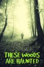 Watch These Woods are Haunted Freemovieswatch
