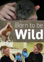 Watch Born to Be Wild Freemovieswatch