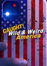 Watch Wild & Weird America Freemovieswatch
